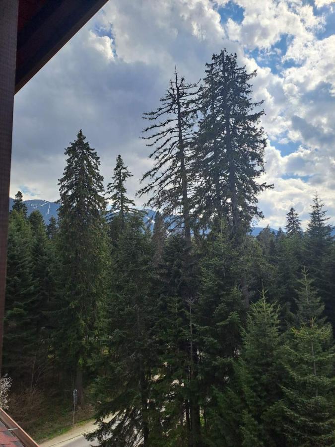Premium Apartment In Borovets Gardens Complex Esterno foto